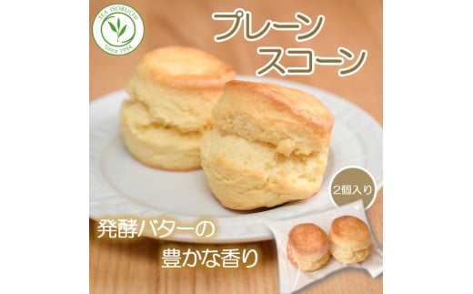  スコーン 12個 セット 2種 ( プレーン 6個 アールグレイ 6個 ) 焼き菓子 お菓子 焼菓子 おやつ 洋菓子 デザート スイーツ 人気 発酵 バター コク 風味 すこーん 常温 ミルクティー 手土産 ギフト プレゼント 手作り 紅茶 茶 専門店 ティー イソブチカンパニー 神奈川 湘南 藤沢