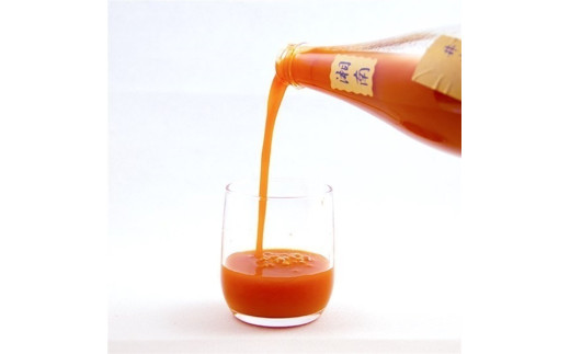 人気 トマトジュース ケチャップのセット とまとジュース720ml ケチャップ300g トマト 野菜 やさい とまと tomato フルーツ 甘い リコピン フルーツトマト 完熟 産地直送 高リコピン 栄養 鮮度 ギフト 贈り物 贈答 新鮮 サラダ 井出トマト農園 神奈川 湘南 藤沢