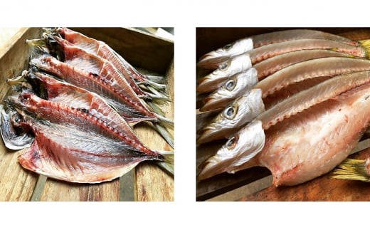 干物 旬の魚 6～8種 セット 旬 国産 ひもの セット 詰め合わせ 海鮮 魚 魚介 海の幸 ヒモノ himono 干し 自家製造 焼魚 焼き魚 さかな サカナ おつまみ 弁当 惣菜 おかず ご飯 ご飯のお供 冷蔵 母の日 父の日 プレゼント ギフト 贈り物 贈答 夜ご飯 鈴伝商店 神奈川 湘南 藤沢