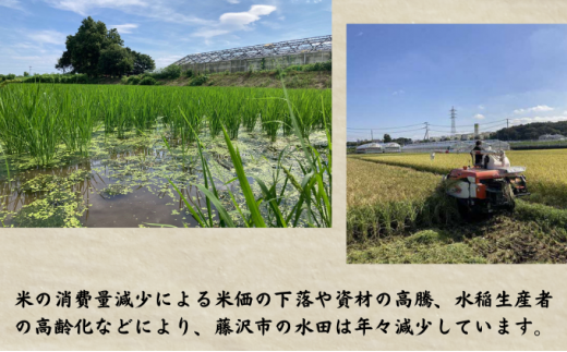 日本酒 純米酒 720ml 1本 酒造 鮮魚 魚介 海鮮 刺し身 串揚げ お取り寄せ 鮮魚 魚介 海鮮 白身魚 プレゼント ギフト 銘酒 贈り物 贈答 家飲み 晩酌 お中元 お歳暮 記念日 父の日 ふるさと納税日本酒 神奈川 湘南 藤沢