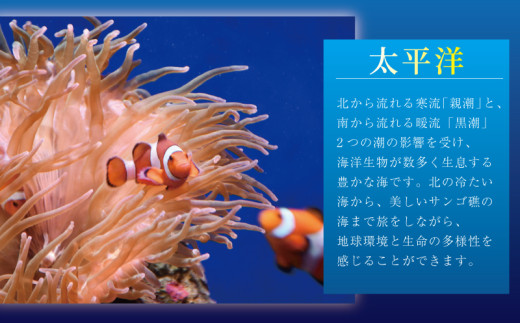 水族館 チケット 新江ノ島水族館 年間 パスポート 引換券 大人 1枚 + 小・中学生 1枚 江ノ島 江の島 えのすい 利用券 券 体験チケット イルカショー 体験型 アクティビティ 入場券 前売り券 お出かけ 家族 旅行 観光 トラベル 関東 すいぞくかん レジャー 株式会社新江ノ島水族館 神奈川 湘南 藤沢