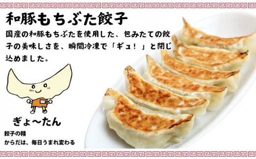 ぎょうざ 餃子 200個 ザーサイ 1袋 セット ギョーザ 肉汁 大きい 小分け パック 豚肉 ぶた 野菜 焼き餃子 gyouza 冷凍餃子 生餃子 冷凍 ごはん おかず 夕食 昼食 おつまみ 晩酌 簡単調理 時短 簡易包装 手作り餃子 冷凍食品 本格 中華 古久家 神奈川 湘南 藤沢
