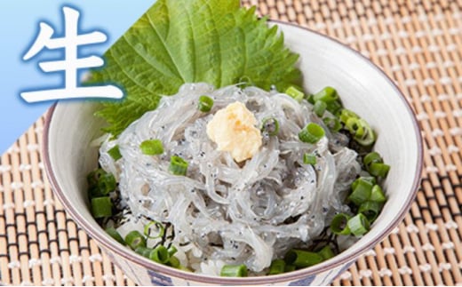 生しらす 釜揚げしらす 計920g 260g × 2 パック 100g × 4 パック シラス 魚 釜揚げ 生 湘南しらす sirasu じゃこ ちりめん しらす干し 江の島しらす イワシ 小分け 便利 手軽 海鮮 新鮮 魚介 魚貝 小魚 冷凍 セット 贈答 江の島 江ノ島 とびっちょ 神奈川 湘南 藤沢