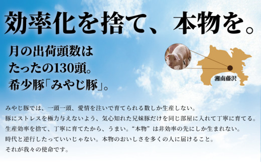 ブランドポーク みやじ豚 選べる ギフト 5500円 相当 みやじ豚 ぶた肉 ブタ肉 豚 国産豚 焼き肉 やきにく BBQ ロース 希少 ブロック niku ニク 豚カツ トンカツ とんかつ ポーク チャーシュー お肉 ブランド豚肉 ポーク ぶたにく 肉 にく niku buta 神奈川 湘南 藤沢