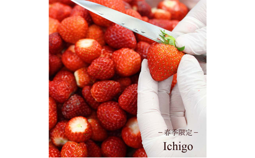 アイス lce 【定期便 3回 隔月】130ml × 6個 季節おすすめ アイスクリーム セット 手作り ドルチェ ミルク マカダミアナッツ コーヒー カカオ チョコレート スイーツ デザート 冷凍 ジェラート ソフトクリーム Hilo Homemade Ice Cream 神奈川 