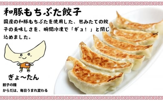 餃子 60個 チャーハン 2食 セット 炒飯 焼き飯 焼飯 中華 ギョーザ 肉汁 大きい 小分け パック 豚肉 ぶた 野菜 焼き餃子  gyouza 冷凍餃子 生餃子 冷凍 ごはん おかず 夕食 昼食 おつまみ 簡単調理 時短 簡易包装 手作り 冷凍食品 古久家 神奈川 湘南 藤沢