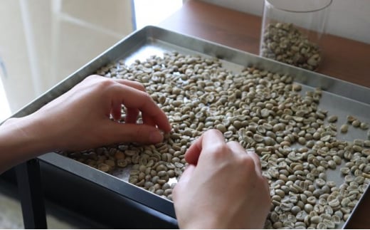 çç² ã³ãŒããŒ é£²ã¿æ¯ã¹ ã³ãŒããŒè± 2çš® çŽ300g (è± 150gÃ2) èªå®¶çç
çç
æµ
ç
ã çç² é£²ã¿æ¯ã¹ ã³ãŒããŒã»ãã 飲æ ãã¶ãŒã ã®ãã èŽççš ãåãå¯ã cafe&gin mono ãã£ãã¹ã¿ãŒ çœ ãµãããšçŽçšã³ãŒã㌠ç¥å¥å· æ¹å è€æ²¢