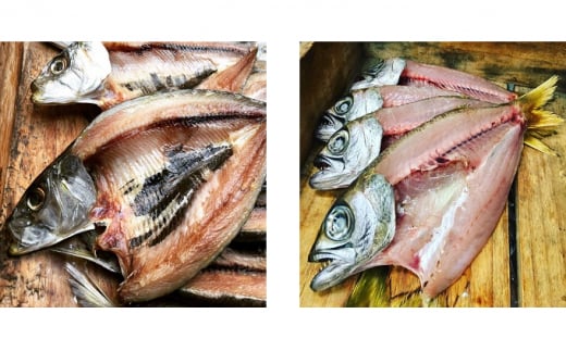 干物 旬の魚 5～6種 セット 旬 国産 ひもの セット 詰め合わせ 海鮮 魚 魚介 海の幸 ヒモノ himono 干し 自家製造 焼魚 焼き魚 さかな サカナ おつまみ 弁当 惣菜 おかず ご飯 ご飯のお供 冷蔵 母の日 父の日 プレゼント ギフト 贈り物 贈答 夜ご飯 鈴伝商店 神奈川 湘南 藤沢