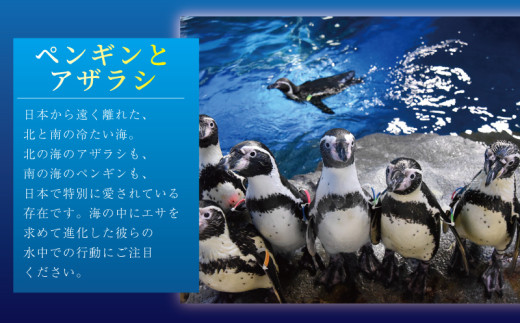 観光 水族館 チケット 新江ノ島水族館 年間 パスポート 引換券 (大人1枚+幼児1枚) 江ノ島 江の島 えのすい 利用券 券 体験チケット イルカショー 体験型 アクティビティ 入場券 前売り券 お出かけ 子ども 家族 旅行 トラベル 関東 すいぞくかん レジャー 株式会社新江ノ島水族館 神奈川 湘南 藤沢