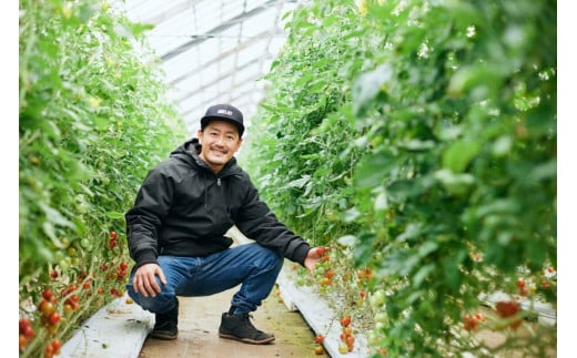 ピザ マルゲリータ 手作りピザ 冷凍ピザ 3枚 高糖度 フルーツトマト チーズ モッツァレラチーズ 朝採れ フレッシュ バジル トマト トマトソース 濃縮 tomato 野菜 やさい yasai 瞬間冷凍 定番 こだわり 農家 トマト農家 農園 農業 絶品 本格 ヘルシー 新鮮 健康 自然 神奈川 湘南 藤沢