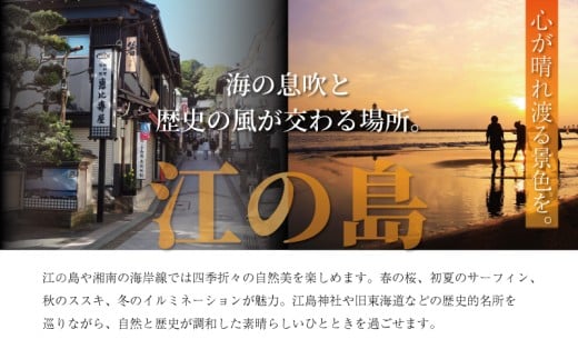 ããŒããŠã©ã¬ããã»ããŒãã«ããŒãã©ã㯠2ç¹ã»ãã çé© æ æšã¬ã¶ãŒ è²¡åž ãµã€ã ãããµ saifu æçž«ã ãã³ãã¡ã€ã é©å°éåº æäœã SNAKER-handicraft ç¥å¥å· æ¹å è€æ²¢