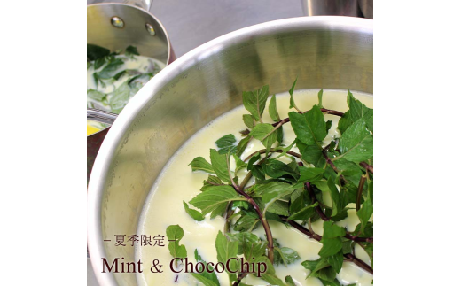 あいす アイスクリーム 130ml × 6個 季節おすすめ セット アイスセット 手作り アイス ice aisu ドルチェ 旬 季節 おすすめ オススメ お楽しみ フレーバー 食べ比べ スイーツ デザート 冷凍 ジェラート ソフトクリーム Hilo Homemade Ice Cream 神奈川 湘南 藤沢