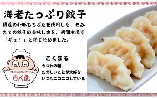 餃子 60個 海老餃子 10個 春巻き 5本 セット エビ えび 海老 ギョーザ 肉汁 大きい 小分け パック 豚肉 ぶた 野菜 焼き餃子  gyouza 冷凍餃子 生餃子 冷凍 ごはん おかず 夕食 昼食 おつまみ 簡単調理 時短 簡易包装 手作り 冷凍食品 古久家 神奈川 湘南 藤沢