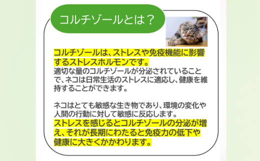 獣医師監修 ネコ体毛ホルモン量測定キット ～コルチゾール～ ネコの慢性ストレスチェック ホルモン量 測定キット 簡単測定 検査キット 簡易 検査 自宅 簡単 送るだけ 健康チェック ストレスチェック ネコ 猫 ペット 家族 株式会社あすか製薬メディカル 神奈川 湘南 藤沢