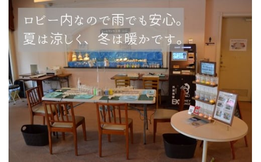 ミニシェルランプ ワークショップ 参加チケット 海 貝殻 ランプ 体験 江の島 江ノ島