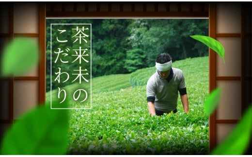 アイス 4種類 12個 セット 抹茶 ほうじ茶 煎茶 玄米茶 茶来未のアイス お茶アイス 茶師 お茶 焙じ茶  アイスクリーム あいす スイーツ デザート 茶葉 ice あいすくりーむ 詰め合わせ 贈答 ギフト プレゼント 贈り物 本格 お茶っ葉 ちゃば 丹沢大山茶 株式会社茶来未 神奈川 湘南 藤沢