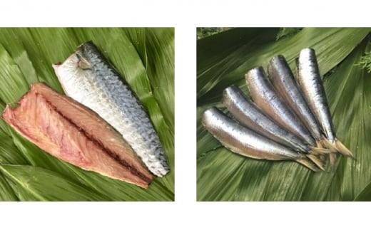 干物 旬の魚 5～6種 セット 旬 国産 ひもの セット 詰め合わせ 海鮮 魚 魚介 海の幸 ヒモノ himono 干し 自家製造 焼魚 焼き魚 さかな サカナ おつまみ 弁当 惣菜 おかず ご飯 ご飯のお供 冷蔵 母の日 父の日 プレゼント ギフト 贈り物 贈答 夜ご飯 鈴伝商店 神奈川 湘南 藤沢