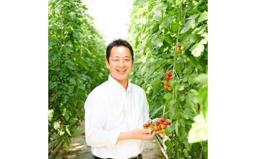 人気 トマトジュース ケチャップのセット とまとジュース720ml ケチャップ300g トマト 野菜 やさい とまと tomato フルーツ 甘い リコピン フルーツトマト 完熟 産地直送 高リコピン 栄養 鮮度 ギフト 贈り物 贈答 新鮮 サラダ 井出トマト農園 神奈川 湘南 藤沢