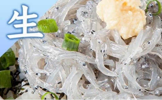 生しらす 釜揚げしらす 計440g 120g × 2 パック 100g × 2 パック シラス 魚 釜揚げ 生 湘南しらす sirasu じゃこ ちりめん しらす干し 江の島しらす イワシ 小分け 便利 手軽 海鮮 新鮮 魚介 魚貝 小魚 冷凍 セット 贈答 江の島 江ノ島 とびっちょ 神奈川 湘南 藤沢