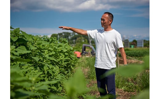 【合計9品/菊芋製品入】湘南からのおまかせ健康セット（旬の農薬不使用野菜7品＋菊芋加工品2品）