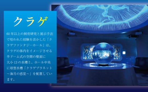 入場券 水族館 チケット 新江ノ島水族館  前売券 ( 大人 1枚、小・中学生 1枚 ) 江ノ島 江の島 えのすい 利用券 券 体験チケット イルカショー 体験型 アクティビティ 前売り券 お出かけ 子ども 家族 旅行 観光 トラベル 関東 すいぞくかん レジャー 株式会社新江ノ島水族館 神奈川 湘南 藤沢