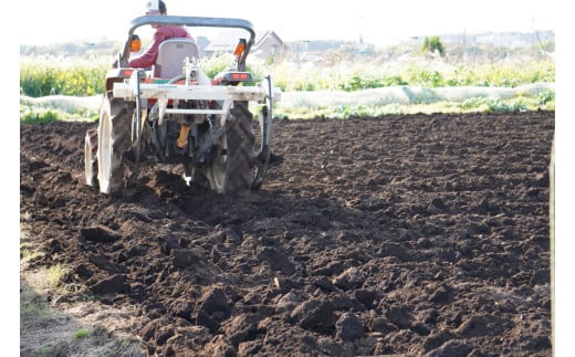 ピザ マルゲリータ 手作りピザ 冷凍ピザ 3枚 高糖度 フルーツトマト チーズ モッツァレラチーズ 朝採れ フレッシュ バジル トマト トマトソース 濃縮 tomato 野菜 やさい yasai 瞬間冷凍 定番 こだわり 農家 トマト農家 農園 農業 絶品 本格 ヘルシー 新鮮 健康 自然 神奈川 湘南 藤沢