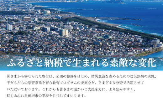 h-works 本革 ルームシューズ Mサイズ Lサイズ 国産天然皮革 軽量【グリーンL】レザー スリッパ 日本製革 革 天然皮 手作り 唯一無二 職人 オイルワックス インソール 軽量 ソール 通年利用 h-works 神奈川 藤沢 湘南