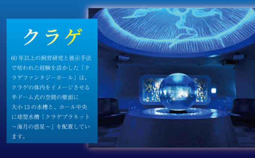 観光 水族館 チケット 新江ノ島水族館 年間 パスポート 引換券 (大人1枚+幼児1枚) 江ノ島 江の島 えのすい 利用券 券 体験チケット イルカショー 体験型 アクティビティ 入場券 前売り券 お出かけ 子ども 家族 旅行 トラベル 関東 すいぞくかん レジャー 株式会社新江ノ島水族館 神奈川 湘南 藤沢