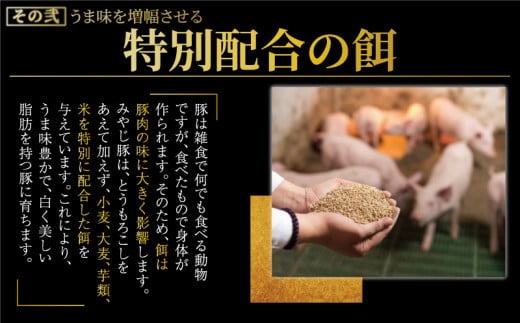 ブランド豚 豚ロース 640g  希少 みやじ豚  冷蔵 ブランド ぶた肉 ブタ肉 豚 生肉 ナマ 国産豚 焼き肉 やきにく バーベキュー BBQ カレー ロース ろーす rose 生姜焼き お肉 ブランド豚肉 ポーク 国産 ぶたにく ぶた 肉 にく niku buta 真空 パック 神奈川 湘南 藤沢