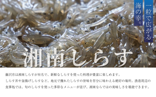 梚 ãªã ãã· çŽ5kg 11çãã14ç ã2026幎 8æäžæ¬çºéãåçš®ããŸãã ãã ãã® æç© ãã«ãŒã nasi æ¬ æ°é®® å®ç å
è¡äºçŽ æ°ééå® ç£å°çŽé 蟲家çŽé 幞氎 è±æ°Ž ããã¥ã ãã¬ãŒã³ã ã®ãã èŽãç© ææ©è¥æ 15000å å·èµ éŽæšå ç¥å¥å· æ¹å è€æ²¢