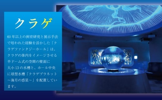 新江ノ島水族館 チケット 前売 入場券 大人1枚 有効期間 チケット 水族館 イルカショー 利用券 引換券 券 体験チケット 体験型 アクティビティ 入場券 前売り券 動物 家族 旅行 観光 トラベル 関東 江の島 江ノ島 すいぞくかん レジャー プレゼント ギフト 株式会社新江ノ島水族館 神奈川 湘南 藤沢