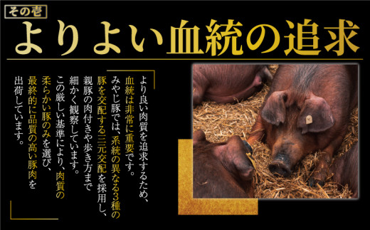 肉汁たっぷり にんにく餃子 20個入り みやじ豚 冷凍餃子 ブランド豚 100%  ニンニク 餃子 ぎょうざ ギョウザ ギョーザ ぎょーざ 焼き餃子 水餃子 gyouza おつまみ おかず 一口 お惣菜 ごはんのお供 国産 中華 お取り寄せ ギフト お土産 冷凍 加工 食品 神奈川 湘南 藤沢