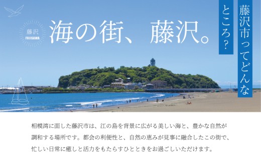 圫é ã·ã«ã㌠æ§ç®ãã³ã°ã« å¶äœ äœéš ã³ãŒã¹ 1å ã·ã«ããŒ950 SILVER ã¢ã¯ã»ãµãªãŒ ãžã¥ãšãªãŒ ã㢠ã·ã³ãã« äžç¹ãã® ãããã ãããã ãã¬ãŒã³ã ã®ãã èŽãç© ãµãããšçŽçš äœéš FABBRICA OSAWA ç¥å¥å· æ¹å è€æ²¢