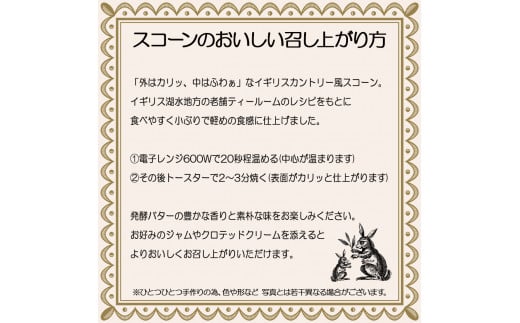  スコーン 12個 セット 2種 ( プレーン 6個 アールグレイ 6個 ) 焼き菓子 お菓子 焼菓子 おやつ 洋菓子 デザート スイーツ 人気 発酵 バター コク 風味 すこーん 常温 ミルクティー 手土産 ギフト プレゼント 手作り 紅茶 茶 専門店 ティー イソブチカンパニー 神奈川 湘南 藤沢
