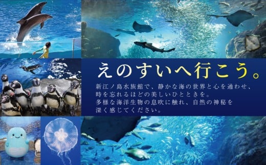 新江ノ島水族館 チケット 前売 入場券 大人1枚 有効期間 チケット 水族館 イルカショー 利用券 引換券 券 体験チケット 体験型 アクティビティ 入場券 前売り券 動物 家族 旅行 観光 トラベル 関東 江の島 江ノ島 すいぞくかん レジャー プレゼント ギフト 株式会社新江ノ島水族館 神奈川 湘南 藤沢