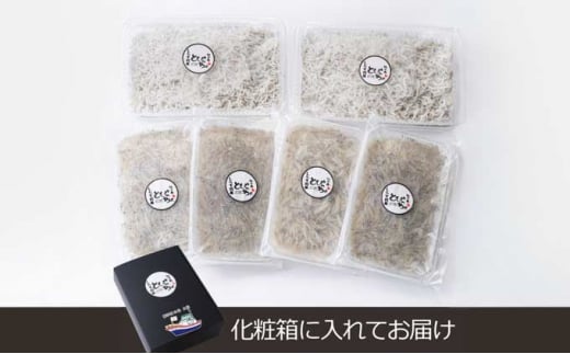 生しらす 釜揚げしらす 計920g 260g × 2 パック 100g × 4 パック シラス 魚 釜揚げ 生 湘南しらす sirasu じゃこ ちりめん しらす干し 江の島しらす イワシ 小分け 便利 手軽 海鮮 新鮮 魚介 魚貝 小魚 冷凍 セット 贈答 江の島 江ノ島 とびっちょ 神奈川 湘南 藤沢