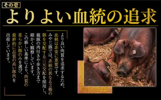 豚ロース ブロック 640g 国産豚肉 ブランド豚 みやじ豚 冷蔵 ぶた肉 ブタ肉 豚 国産豚 焼き肉 やきにく BBQ ロース ブロック rose niku 豚カツ ぶろっく肉 トンカツ とんかつ ポーク チャーシュー お肉 ブランド豚肉 ポーク ぶたにく 肉 にく niku buta 神奈川 湘南 藤沢