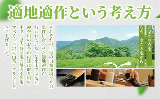 アイス 4種類 12個 セット 抹茶 ほうじ茶 煎茶 玄米茶 茶来未のアイス お茶アイス 茶師 お茶 焙じ茶  アイスクリーム あいす スイーツ デザート 茶葉 ice あいすくりーむ 詰め合わせ 贈答 ギフト プレゼント 贈り物 本格 お茶っ葉 ちゃば 丹沢大山茶 株式会社茶来未 神奈川 湘南 藤沢