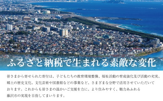 【合計9品/菊芋製品入】湘南からのおまかせ健康セット（旬の農薬不使用野菜7品＋菊芋加工品2品）