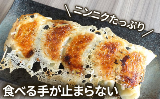 肉汁たっぷり にんにく餃子 20個入り みやじ豚 冷凍餃子 ブランド豚 100%  ニンニク 餃子 ぎょうざ ギョウザ ギョーザ ぎょーざ 焼き餃子 水餃子 gyouza おつまみ おかず 一口 お惣菜 ごはんのお供 国産 中華 お取り寄せ ギフト お土産 冷凍 加工 食品 神奈川 湘南 藤沢