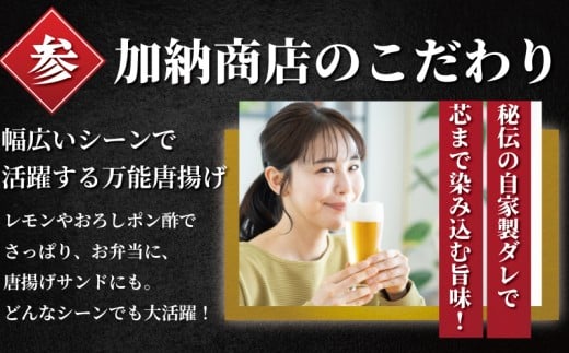 むね肉 唐揚げ 用  3kg ( 600g ✕ 5袋 ) 簡単調理 冷凍 鶏唐揚げ 鶏の唐揚げ 鶏のから揚げ 惣菜 からあげ カラアゲ karaage 高タンパク 鶏むね肉 低脂肪 自家製 チキン 揚げ物 ザンギ 竜田揚げ 鶏肉 とりにく ムネ  冷凍食品 おつまみ おかず 加納食堂 神奈川 湘南 藤沢