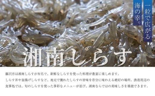 ふじキュンまんじゅう 湘南ひなたぼっこ 饅頭 カップケーキ 計 12個 詰め合わせ 菓子 焼き菓子 お菓子 おかし スイーツ すいーつ おやつ 美味しい 手作り ドルチェ デザート ギフト プレゼント 贈り物 誕生日 ご褒美 お取り寄せ 人気 ご当地 観光名産品 御菓子処 丸寿 神奈川 湘南 藤沢