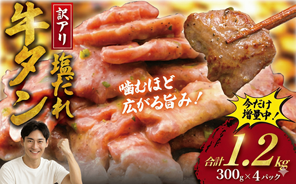 牛タン 計 1.2kg 塩ダレ ( 300g × 4 パック ) 切り落とし 牛たん 牛 たん タン 牛肉 塩 たれ タレ 味付 gyutan 訳アリ 訳有 訳有り わけあり 訳あり品 ワケアリ 焼肉 おすすめ 肉 お肉 ビーフ ぎゅうにく 簡単調理 BBQ おかず 冷凍 焼き肉 タカギフーズ 神奈川 湘南 藤沢市