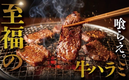 ハラミ タレ漬け 計 1.3kg 以上  ( 約450g × 3 パック ) はらみ 厚み 牛 牛肉 肉 お肉 焼き肉 焼肉 だれ ダレ タレ 味付 さがり サガリ 牛肉ハラミ ビーフ ぎゅうにく おいしい やわらかい 美味 ハラミ 牛ハラミ 牛はらみ 焼肉ハラミ はらみ 肉 niku 小分け 大容量 個包装 簡単調理 BBQ おかず 冷凍 タカギフーズ 神奈川 湘南 藤沢