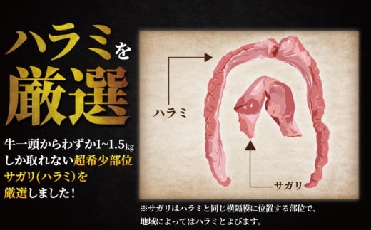 ハラミ タレ漬け 計 1.3kg 以上  ( 約450g × 3 パック ) はらみ 厚み 牛 牛肉 肉 お肉 焼き肉 焼肉 だれ ダレ タレ 味付 さがり サガリ 牛肉ハラミ ビーフ ぎゅうにく おいしい やわらかい 美味 ハラミ 牛ハラミ 牛はらみ 焼肉ハラミ はらみ 肉 niku 小分け 大容量 個包装 簡単調理 BBQ おかず 冷凍 タカギフーズ 神奈川 湘南 藤沢