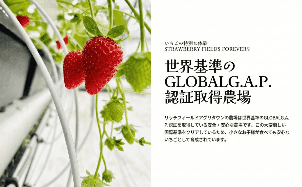 ãã¡ãç©ã 1åæ§å 45å äœéšãã±ãã 10çš®é¡ é£ã¹æ¯ã¹ 颿± äºçŽ ææ°é ãã¡ã èº ã¹ããããªãŒ ãã©ã³ããã¡ã æ¡ãã㊠ç¹å¥æ œå¹ æç© å
¥ååž åž ã«ãã㫠倫婊 å人 åé åé£ã äŒæ¥ ãã«ãŒã ãã«ãŒãç©ã æç©ç©ã ã¢ã¯ã»ã¹ ãåºãã æãåº èŠ³å
ãªãããã£ãŒã«ãæ ªåŒäŒç€Ÿ æ¹å è€æ²¢ ç¥å¥å·