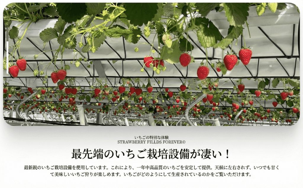 ãã¡ãç©ã 1åæ§å 45å äœéšãã±ãã 10çš®é¡ é£ã¹æ¯ã¹ 颿± äºçŽ ææ°é ãã¡ã èº ã¹ããããªãŒ ãã©ã³ããã¡ã æ¡ãã㊠ç¹å¥æ œå¹ æç© å
¥ååž åž ã«ãã㫠倫婊 å人 åé åé£ã äŒæ¥ ãã«ãŒã ãã«ãŒãç©ã æç©ç©ã ã¢ã¯ã»ã¹ ãåºãã æãåº èŠ³å
ãªãããã£ãŒã«ãæ ªåŒäŒç€Ÿ æ¹å è€æ²¢ ç¥å¥å·