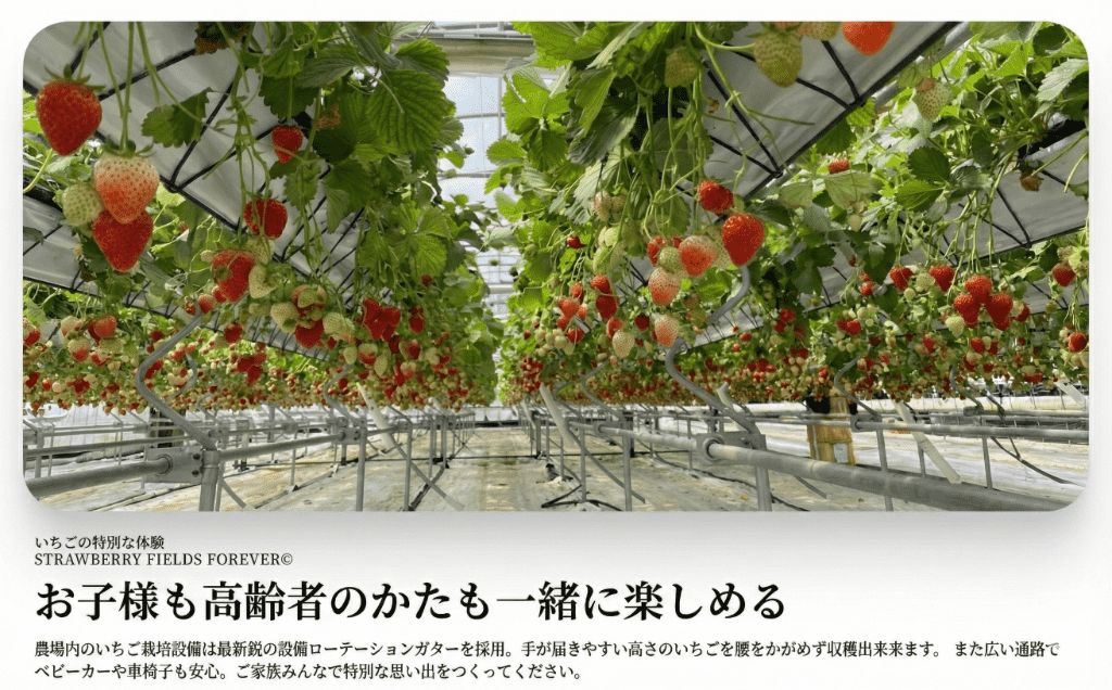 ãã¡ãç©ã 1åæ§å 45å äœéšãã±ãã 10çš®é¡ é£ã¹æ¯ã¹ 颿± äºçŽ ææ°é ãã¡ã èº ã¹ããããªãŒ ãã©ã³ããã¡ã æ¡ãã㊠ç¹å¥æ œå¹ æç© å
¥ååž åž ã«ãã㫠倫婊 å人 åé åé£ã äŒæ¥ ãã«ãŒã ãã«ãŒãç©ã æç©ç©ã ã¢ã¯ã»ã¹ ãåºãã æãåº èŠ³å
ãªãããã£ãŒã«ãæ ªåŒäŒç€Ÿ æ¹å è€æ²¢ ç¥å¥å·