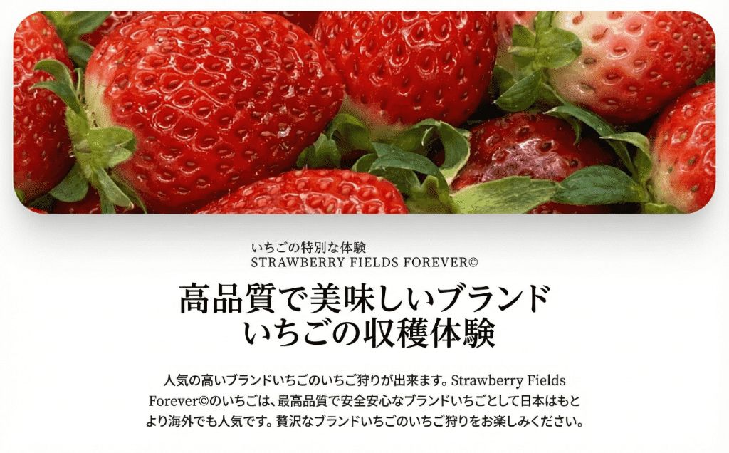 ãã¡ãç©ã 1åæ§å 45å äœéšãã±ãã 10çš®é¡ é£ã¹æ¯ã¹ 颿± äºçŽ ææ°é ãã¡ã èº ã¹ããããªãŒ ãã©ã³ããã¡ã æ¡ãã㊠ç¹å¥æ œå¹ æç© å
¥ååž åž ã«ãã㫠倫婊 å人 åé åé£ã äŒæ¥ ãã«ãŒã ãã«ãŒãç©ã æç©ç©ã ã¢ã¯ã»ã¹ ãåºãã æãåº èŠ³å
ãªãããã£ãŒã«ãæ ªåŒäŒç€Ÿ æ¹å è€æ²¢ ç¥å¥å·