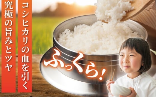 æ°ç±³ å
è¡äºçŽ ç¹Aã©ã³ã¯ ç±³ ã¯ãã¿ 5kg 什å7幎 10æä»¥é é æ¬¡çºé ãã 什å7å¹ŽåºŠç£ çã ã〠ãããã«ãª ã³ã·ãã«ãª ããã²ãã ãããŸã kome â» ãç±³ çœç±³ ã飯 ãã¯ã åŒåœ ãåŒåœ ãã«ãã ã¯ããŸã 粟米 ãã©ã³ãç±³ æ¹åçãŸã 蟲家çŽé æ°ééå® ç£å°çŽé 西山蟲å ç¥å¥å· æ¹å è€æ²¢